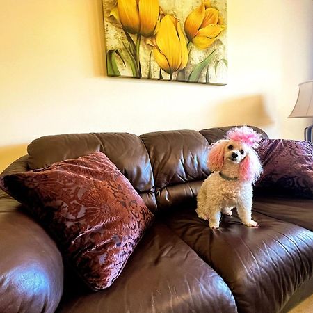 Beautiful Apartment With Pools, Playground And Paddle Tennis - Family Friendly And Near Vithas Hospital - Free Parking In Garage Benalmádena Eksteriør bilde