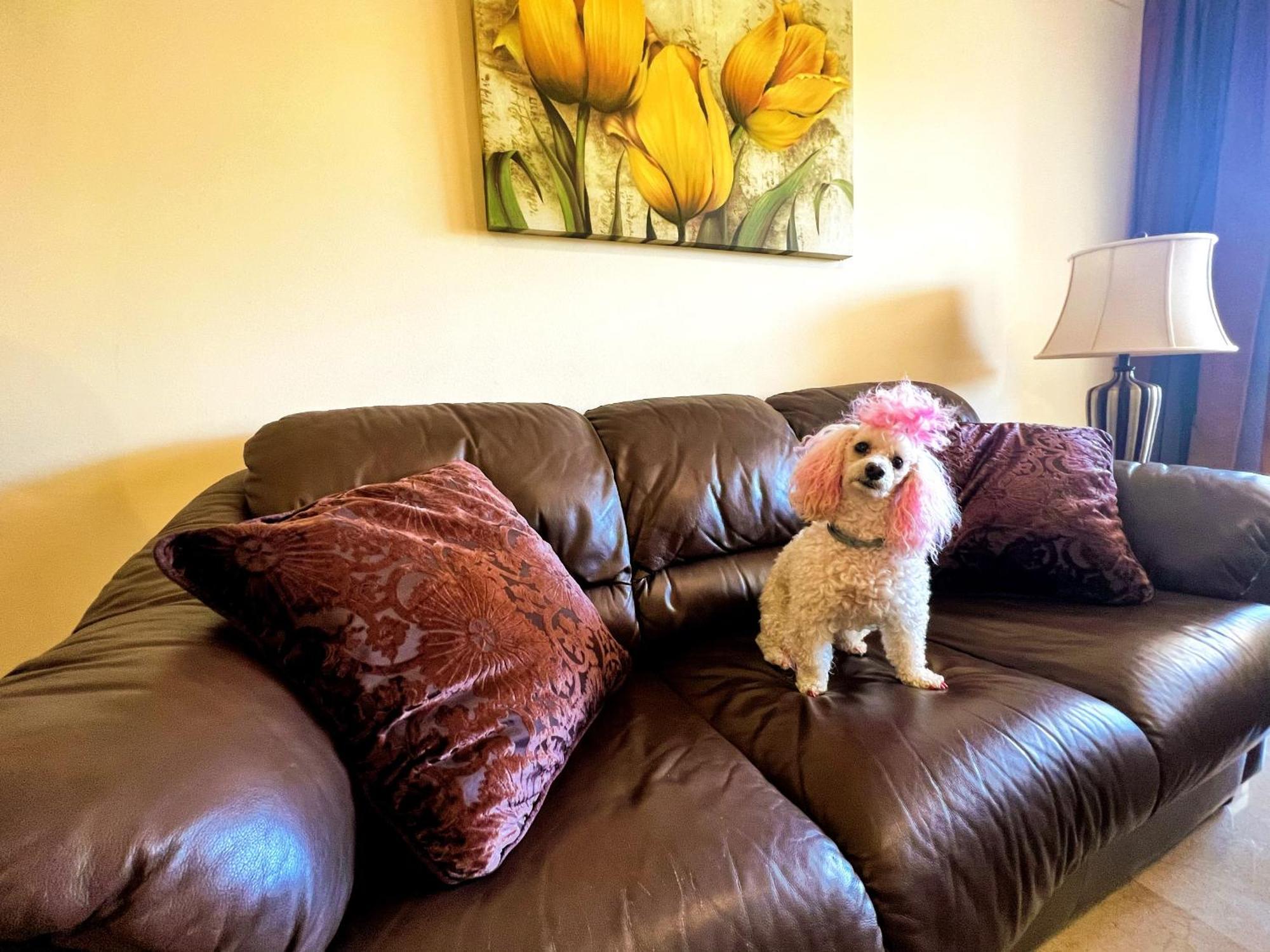 Beautiful Apartment With Pools, Playground And Paddle Tennis - Family Friendly And Near Vithas Hospital - Free Parking In Garage Benalmádena Eksteriør bilde